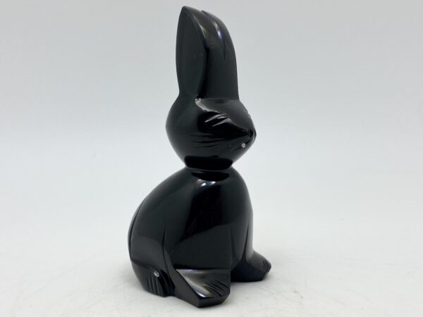 Obsidiánový zajíc - Image 12